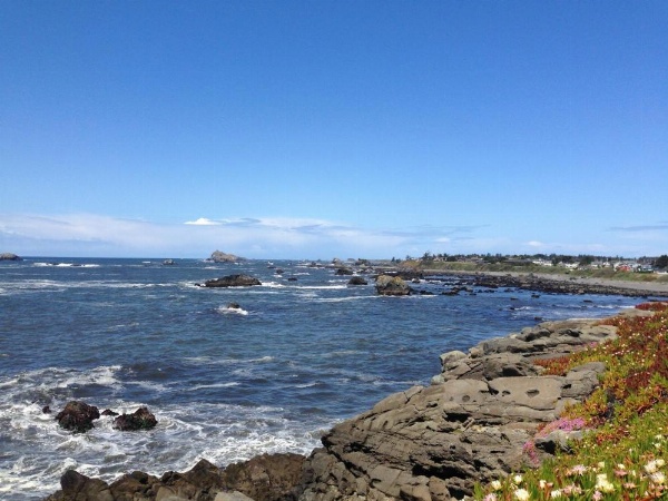 Redwood Inn image 23